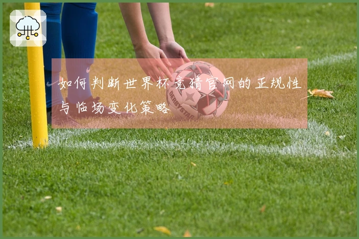 如何判断世界杯竞猜官网的正规性与临场变化策略
