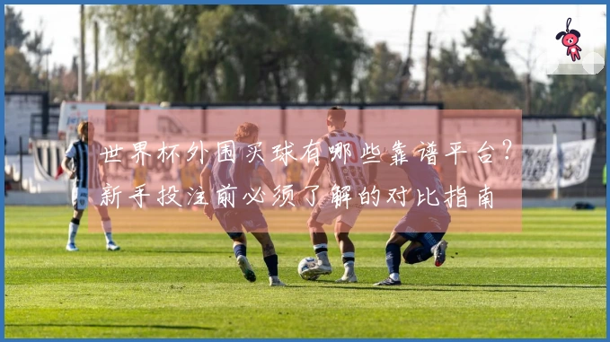 世界杯外围买球有哪些靠谱平台？新手投注前必须了解的对比指南