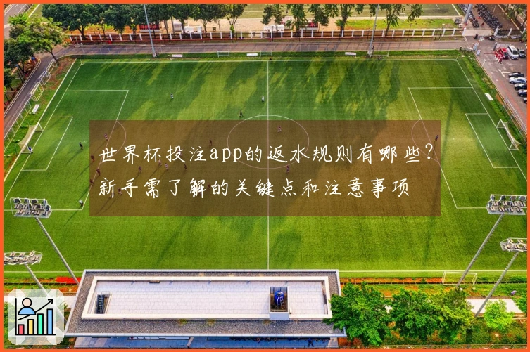 世界杯投注app的返水规则有哪些？新手需了解的关键点和注意事项
