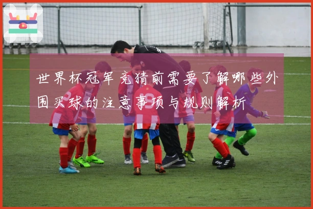 世界杯冠军竞猜前需要了解哪些外围买球的注意事项与规则解析
