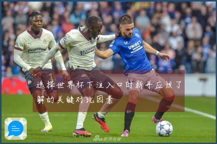 选择世界杯下注入口时新手应该了解的关键对比因素