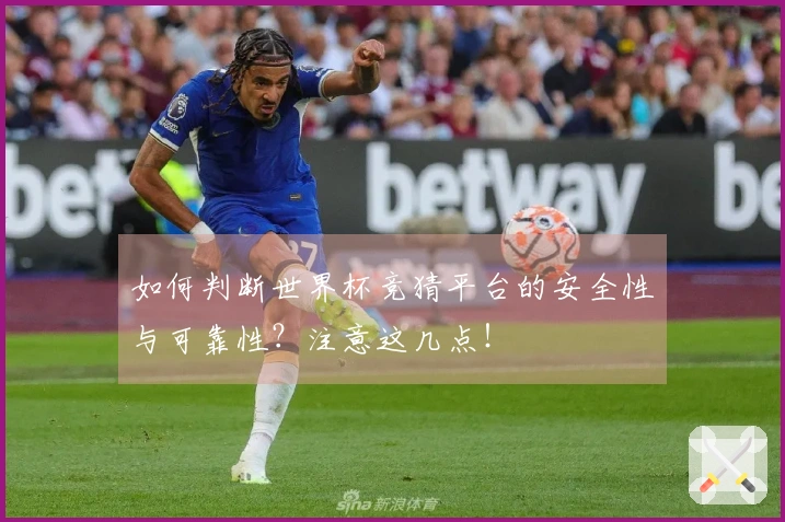 如何判断世界杯竞猜平台的安全性与可靠性？注意这几点！