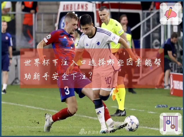 世界杯下注入口选择哪些因素能帮助新手安全下注？
