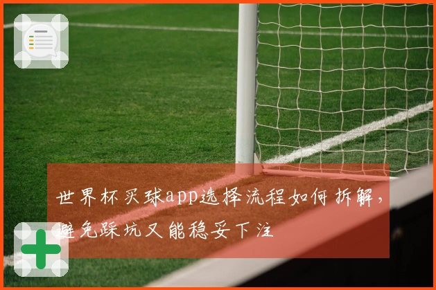 世界杯买球app选择流程如何拆解，避免踩坑又能稳妥下注