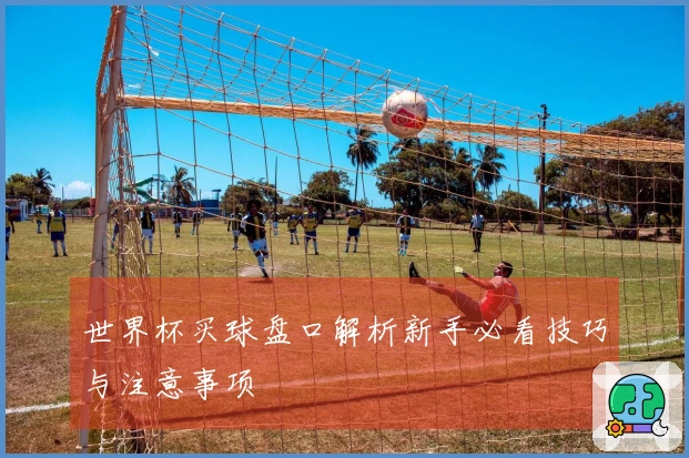 世界杯买球盘口解析新手必看技巧与注意事项