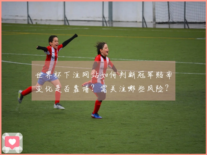 世界杯下注网站如何判断冠军赔率变化是否靠谱？需关注哪些风险？