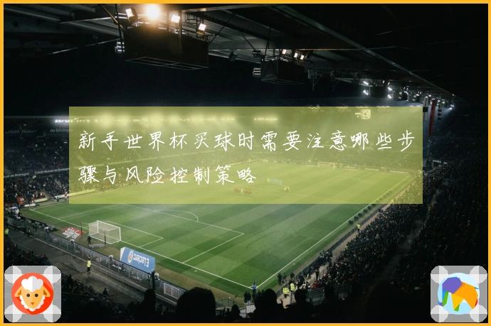 新手世界杯买球时需要注意哪些步骤与风险控制策略