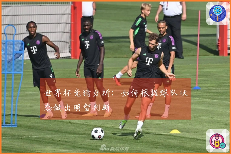 世界杯竞猜分析：如何根据球队状态做出明智判断