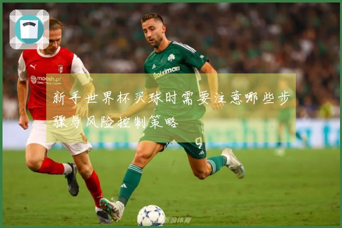 新手世界杯买球时需要注意哪些步骤与风险控制策略