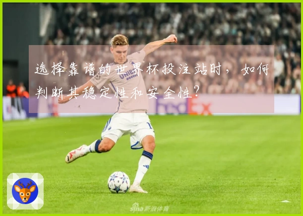 选择靠谱的世界杯投注站时，如何判断其稳定性和安全性？