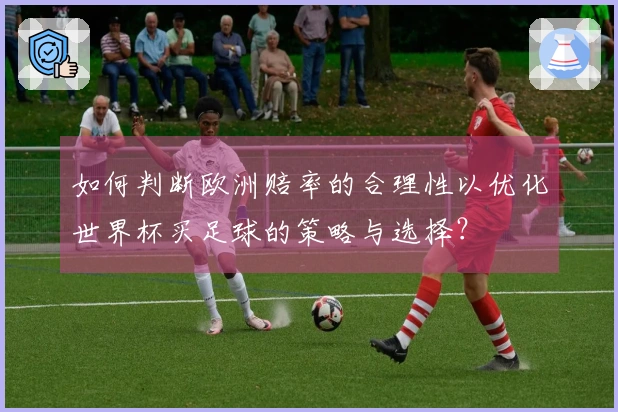 如何判断欧洲赔率的合理性以优化世界杯买足球的策略与选择？