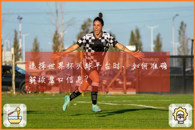 选择世界杯买球平台时，如何准确解读盘口信息？