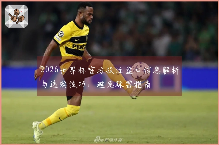 2026世界杯官方投注盘口信息解析与选购技巧，避免踩雷指南