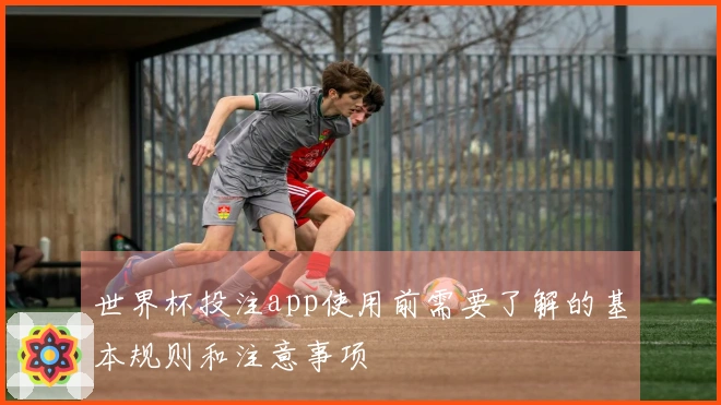世界杯投注app使用前需要了解的基本规则和注意事项