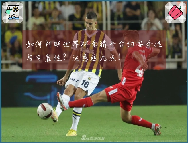 如何判断世界杯竞猜平台的安全性与可靠性？注意这几点！