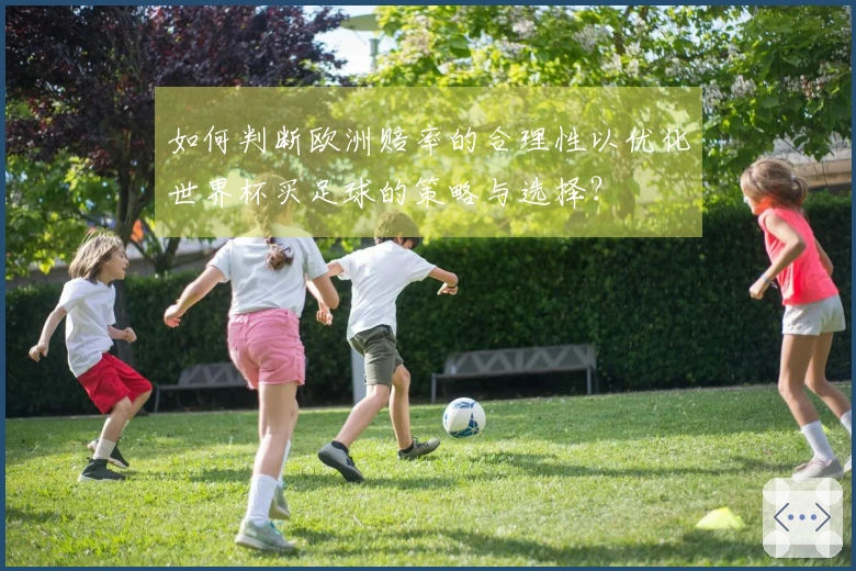 如何判断欧洲赔率的合理性以优化世界杯买足球的策略与选择？