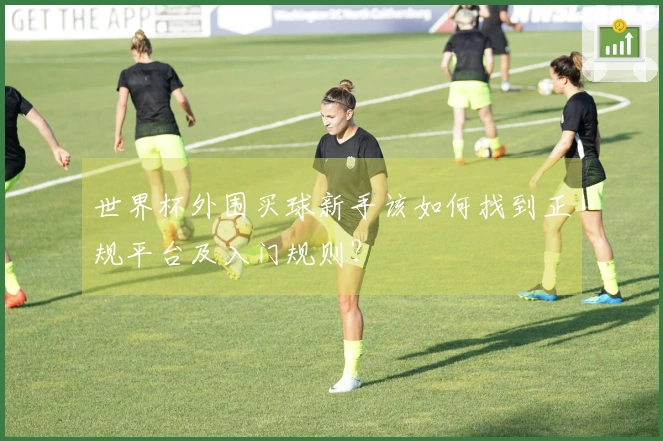 世界杯外围买球新手该如何找到正规平台及入门规则？