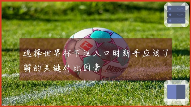 选择世界杯下注入口时新手应该了解的关键对比因素