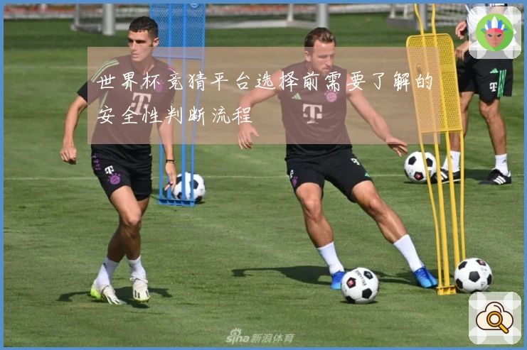世界杯竞猜平台选择前需要了解的安全性判断流程