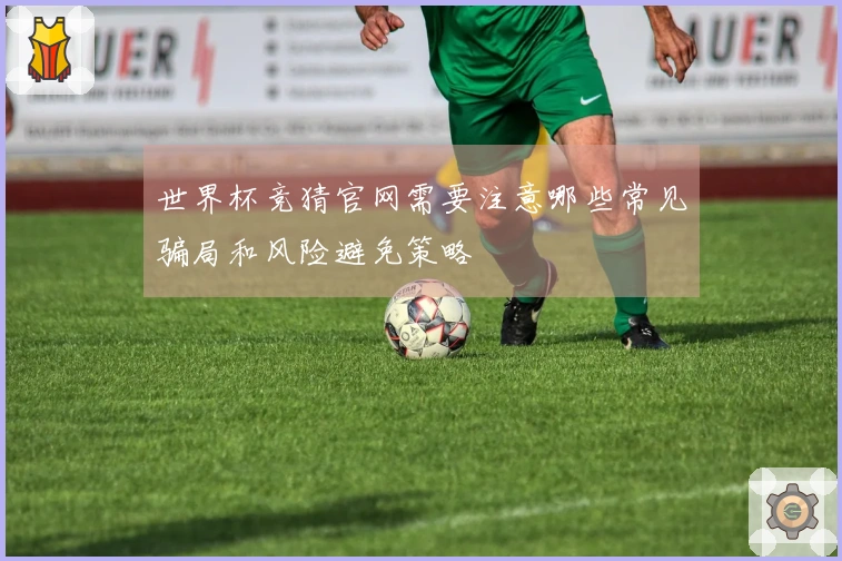 世界杯竞猜官网需要注意哪些常见骗局和风险避免策略