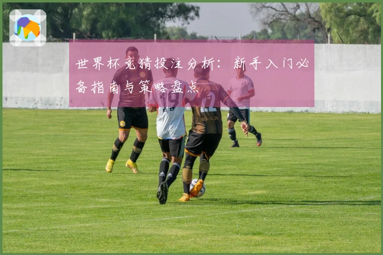 世界杯竞猜投注分析：新手入门必备指南与策略盘点