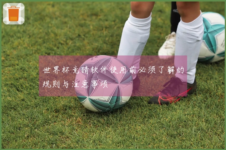 世界杯竞猜软件使用前必须了解的规则与注意事项