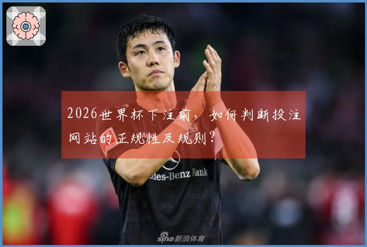 2026世界杯下注前，如何判断投注网站的正规性及规则？