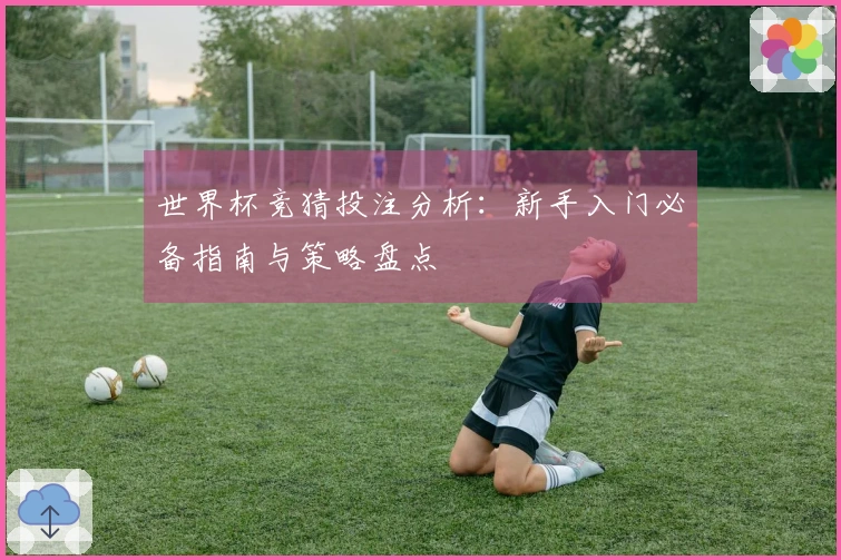 世界杯竞猜投注分析：新手入门必备指南与策略盘点