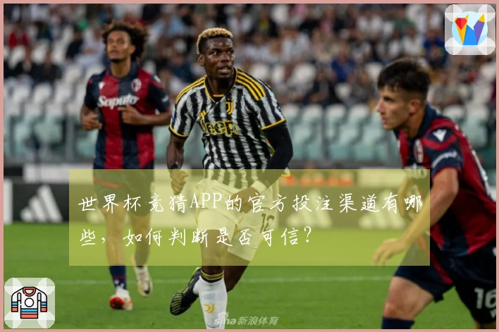 世界杯竞猜APP的官方投注渠道有哪些，如何判断是否可信？
