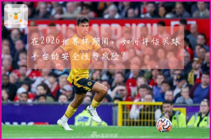 在2026世界杯期间，如何评估买球平台的安全性与风险？