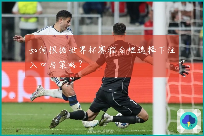 如何根据世界杯赛程合理选择下注入口与策略？