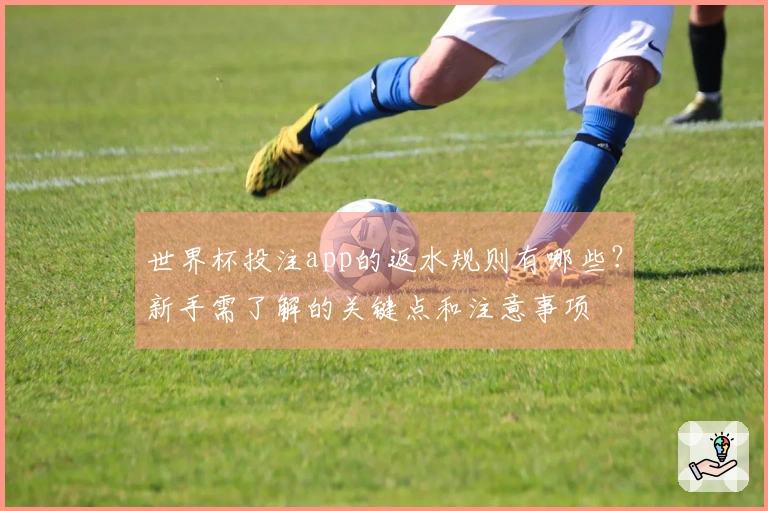 世界杯投注app的返水规则有哪些？新手需了解的关键点和注意事项