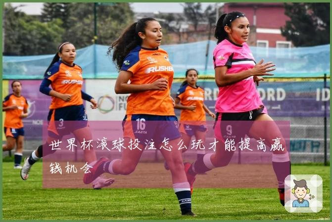 世界杯滚球投注怎么玩才能提高赢钱机会