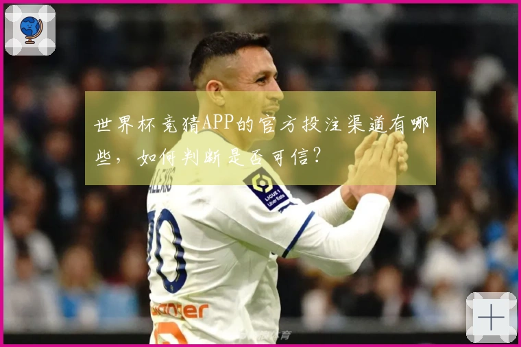 世界杯竞猜APP的官方投注渠道有哪些，如何判断是否可信？